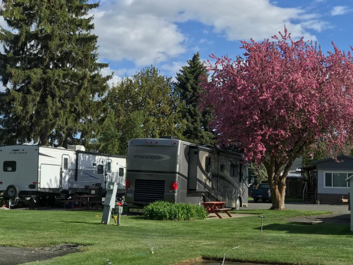 Goose Creek Rv Park & Campground Wilbur Ngoại thất bức ảnh